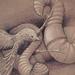 bird vs worm  Art Thumbnail